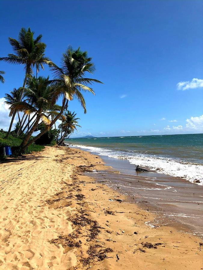 Mariposa Beach House Humacao Ngoại thất bức ảnh